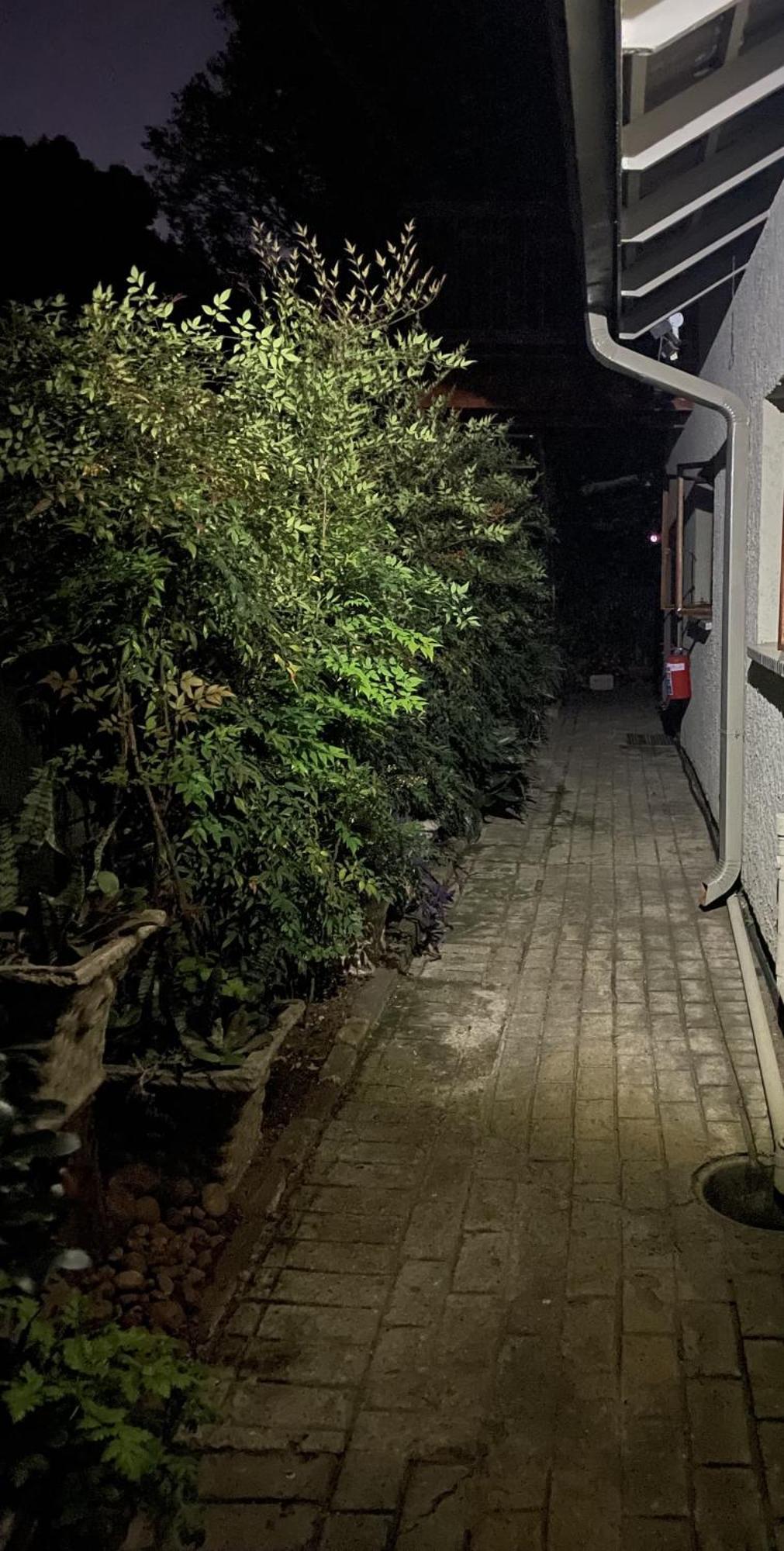 בוקסבורג Celtis Lane Guest House מראה חיצוני תמונה
