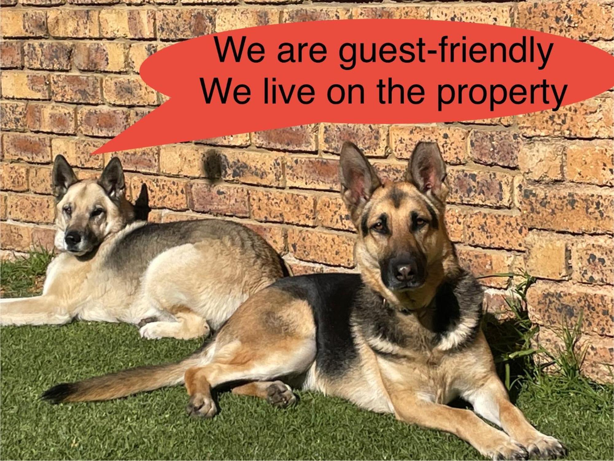 בוקסבורג Celtis Lane Guest House מראה חיצוני תמונה